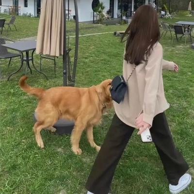 挪威的森林海报